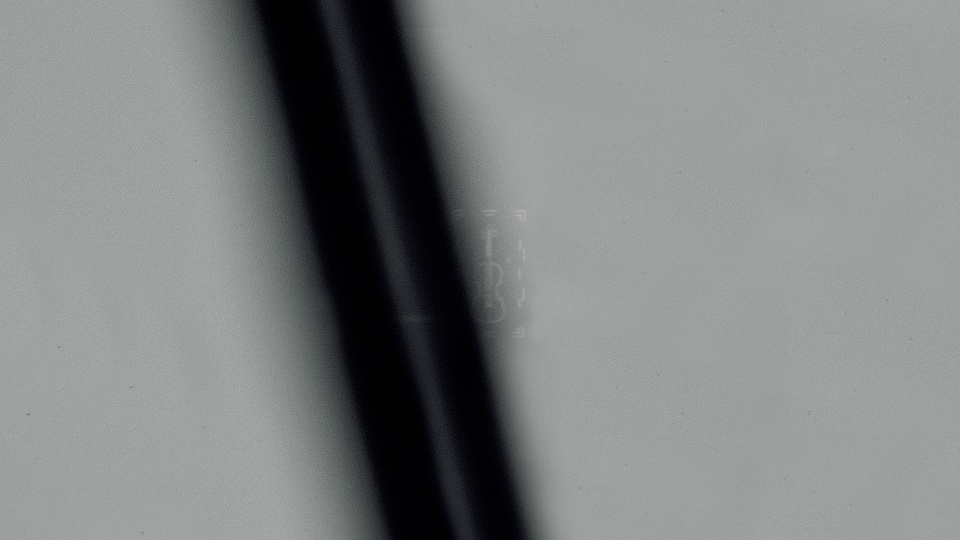 Images of the violin alongside a human hair were captured using a Keyence VHX-7000N Digital Microscope.